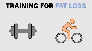 How Does Training Effect Fat Loss? | Fat Loss Fundamentals