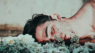 Cj Borika & The Weeknd - Save Your Tears (Original Mix)
