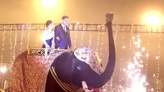 Reception Entry (Elephant) BEST OF 2018 Parimal Weds Rajal