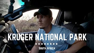 Southern Kruger National Park, South Africa | South to North | Wildlife & Camping