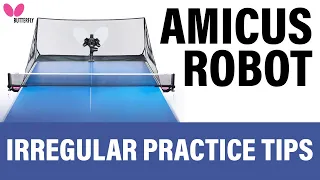 Amicus Training Tips - Practice Irregular (Random)