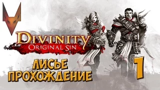 Divinity - Original Sin # 1 [Тайна Источника]