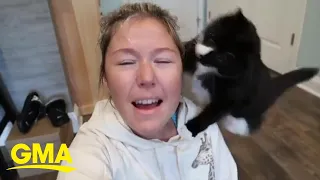 Everyone’s a critic: Cat jumps on mom's face every time she sings | GMA Digital