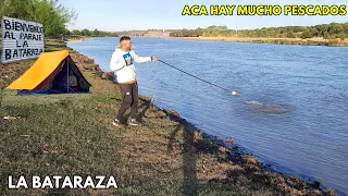INCREÍBLE PESCA EN LA BATARAZA SURUBIS | Pesca en Baradero