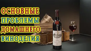 Основные проблемы домашнего виноделия | Отвечаем на вопросы зрителей | Прямой эфир