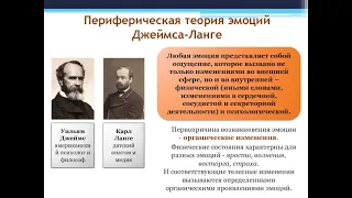 17. Эмоции, их виды и функции. Теории эмоций. ГОСЫ по психологии. Общая психология