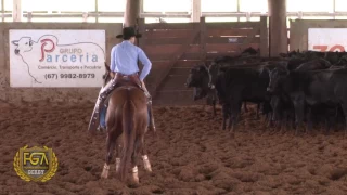 Derby Gruta Classic Azul 2017 - Campeão Non Pro