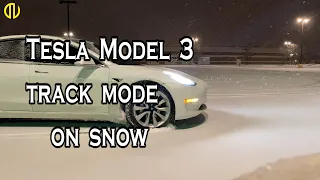 Can a Tesla Model 3 drift on snow?