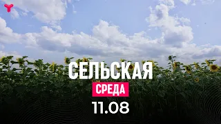 Сельская среда 11.08.2021