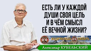 Есть ли у каждой души своя цель, и в чём вообще смысл её вечной жизни?