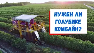 Комбайн для голубики