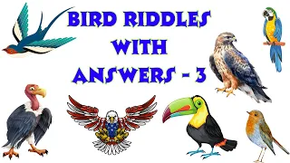 BIRD RIDDLES WITH ANSWERS - 3 #animalriddles #birdriddles