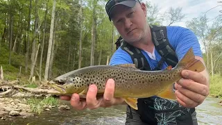 Native Brookies, Wild Browns, and Doubles!