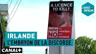 Irlande : L'embryon de la discorde - L'Effet Papillon