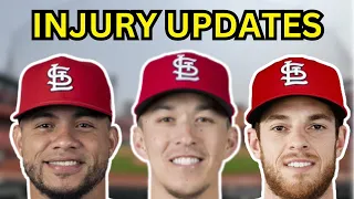 Cardinals Injuries: Updates On Contreras, Matz and Tommy Edman