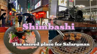 I recommend drinking in Shimbashi!! | Tokyo VLOG, Shimbashi, Life in Japan, izakaya