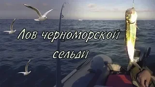 Лов черноморской сельди / Black sea herring fishing