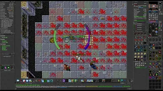 Tibia thank you cipsoft!