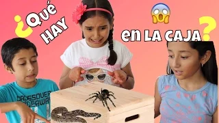 ¿QUÉ HAY EN LA CAJA? / WHAT'S IN THE BOX CHALLENGE ♥️ - Gibby