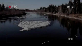 Alaska Sea Monster - Chena River