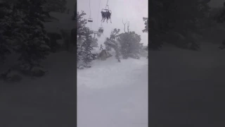 Alta '17 - Diving Board