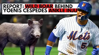 Weirdest MLB Injuries That Are Hilarious