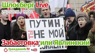 Шлосберг Live #43, 29 января 2018 года. Тема: «Забастовка или Явлинский»