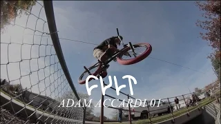 CULTCREW/ ADAM ACCARDI 01