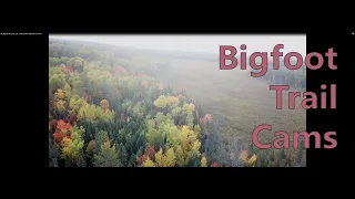 My Bigfoot Story Ep. 220 - Early October Bigfoot Trail Cams