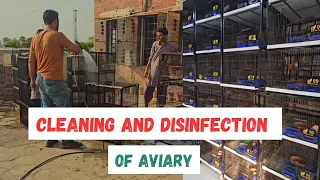 Aviary Preparation for Breeding Season: Cleaning and Disinfection Essentials