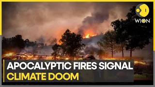 Canada ablaze: How wildfires are caused by climate change | World Environment Day | WION