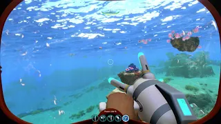 reaper leviathan death by floaters