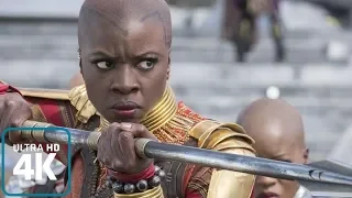 Okoye: All fight scenes from the Films