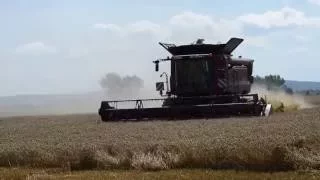 Combine harvester Case IH Axial Flow 6140 at work.