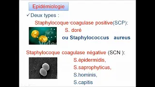 Infections à Staphylocoque