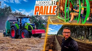 Moisson et Paille !!