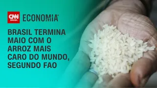Brasil termina maio com o arroz mais caro do mundo, segundo FAO | CNN NOVO DIA