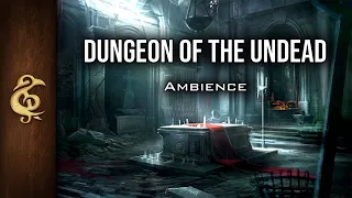 Dungeon Of The Undead | Eerie Ambience | 1 Hour #dnd