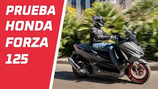 Prueba Honda Forza 125 Special Edition | Precio y opiniones | Test review en español