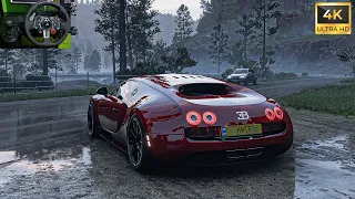 BUGATTI VEYRON SUPER SPORT | Forza Horizon 5 | Logitech G29 Stering Wheel Plus Shifter Gameplay