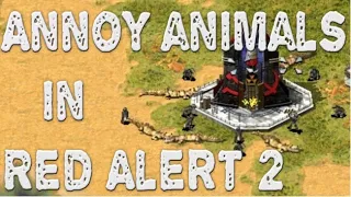 How to annoy animals in Red Alert 2 Alligators and chimps Revenge!!!