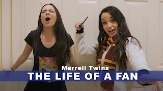 THE LIFE OF A FAN - Merrell Twins