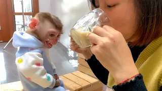 Monkey Puka was angry because Mom didn't let him drink pregnant milk