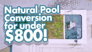 Convert a Chlorine Pool to Natural for Under $800!