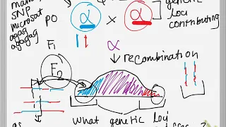 QTl and GWAS