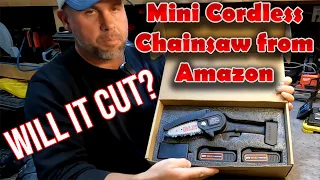 Mini Electric 4" Cordless Chainsaw from Amazon.  Will It Survive?