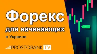 Форекс для начинающих в Украине / Форекс для початківців в Україні