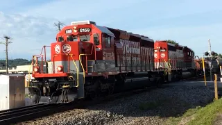 RJ Corman 8159 & 7195 lead decent sized local freight - Powell, TN (5/10/2024)