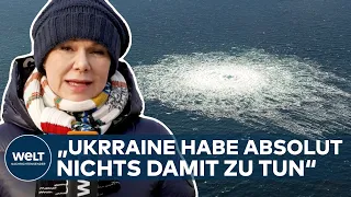 UKRAINE SCHULD AN PIPELINE-EXPLOSION? Selenskyj-Berater streitet Berichte über Beteiligung ab