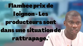 Flambée prix de l'oignon - Macoumba : "Les producteurs sont dans une situation de rattrapage."